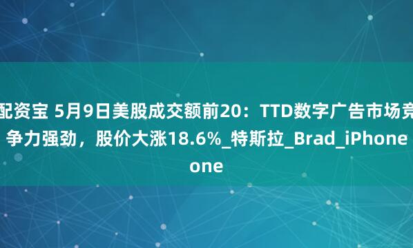 配资宝 5月9日美股成交额前20：TTD数字广告市场竞争力强劲，股价大涨18.6%_特斯拉_Brad_iPhone