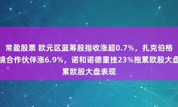 常盈股票 欧元区蓝筹股指收涨超0.7%，扎克伯格AI眼镜合作伙伴涨6.9%，诺和诺德重挫23%拖累欧股大盘表现