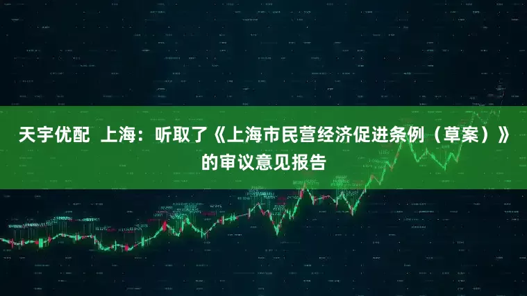 天宇优配  上海：听取了《上海市民营经济促进条例（草案）》的审议意见报告