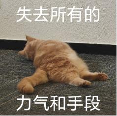 豪极资本 宇树机器人被曝漏洞，机器人之间可相互感染，官方火速回应